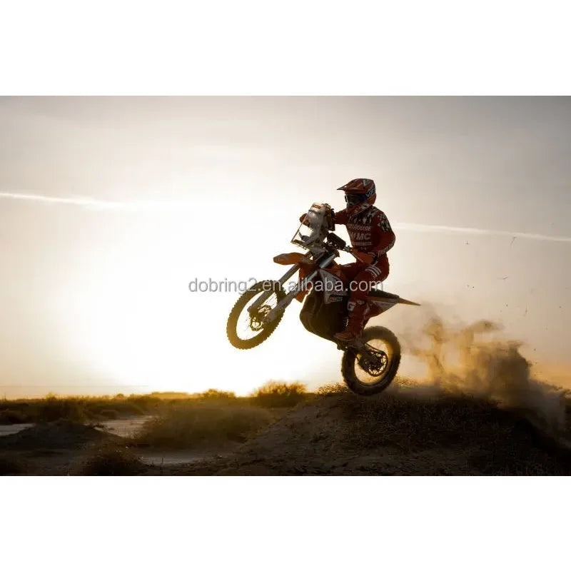 2025 Arctic Leopard E-X 800 800Nm Electric Motorcycle Powerful Mountain Bike Genre 115km/h