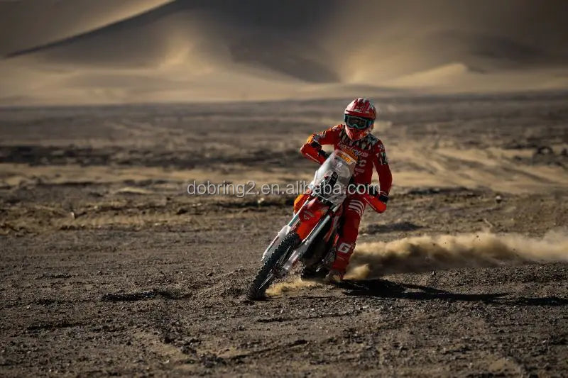 2025 Arctic Leopard E-X 800 800Nm Electric Motorcycle Powerful Mountain Bike Genre 115km/h