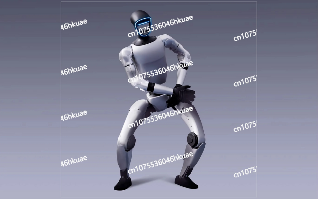 Basic Intelligent Humanoid Robot More Flexible Artificial Intelligence