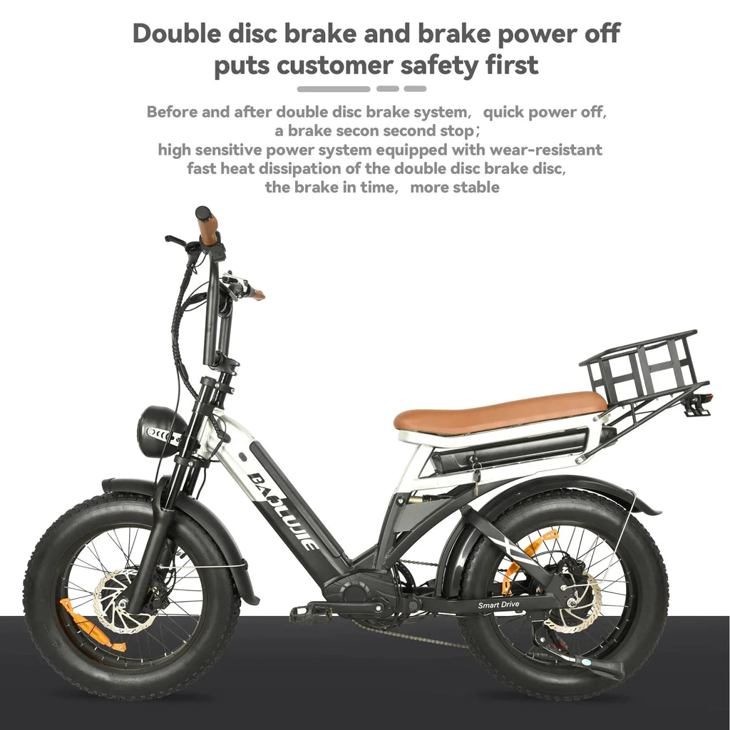Baolujie DP2033 Electric Bicycle 2000W Dual Motor 48V30AH Lithium Battery E-bike 20*4 Inch Fat Tire Mountain Cargo Electric Bike