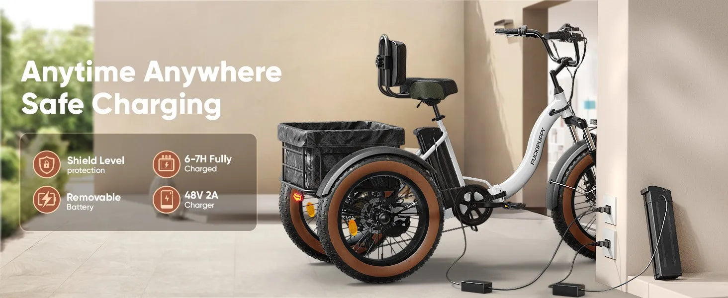 Electric Tricycle for Adults Fat Tire 3 Wheel Electric Trike 960W 55Miles E-Bike