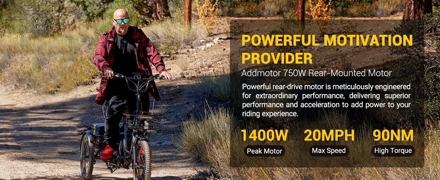 -310 Folding 3Wheel E-bike Electric Trike 750W 20Ah 90MI Adult