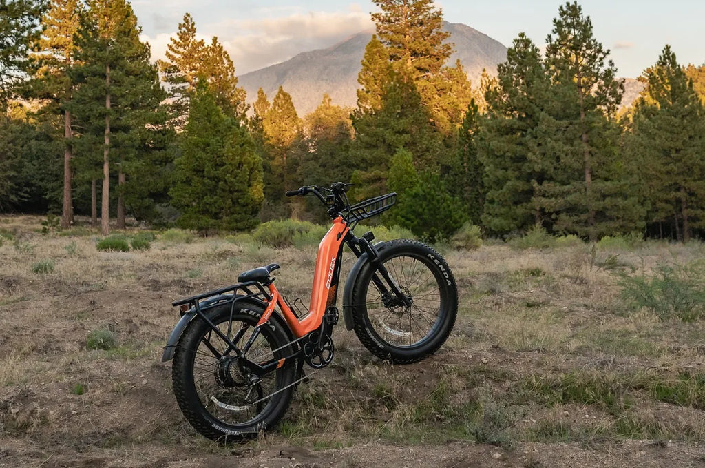 New 20" ELECTRIC BIKE 1000W 52V 20AH UP TO 32KM/H E-BIKE & Torque sensor  USA