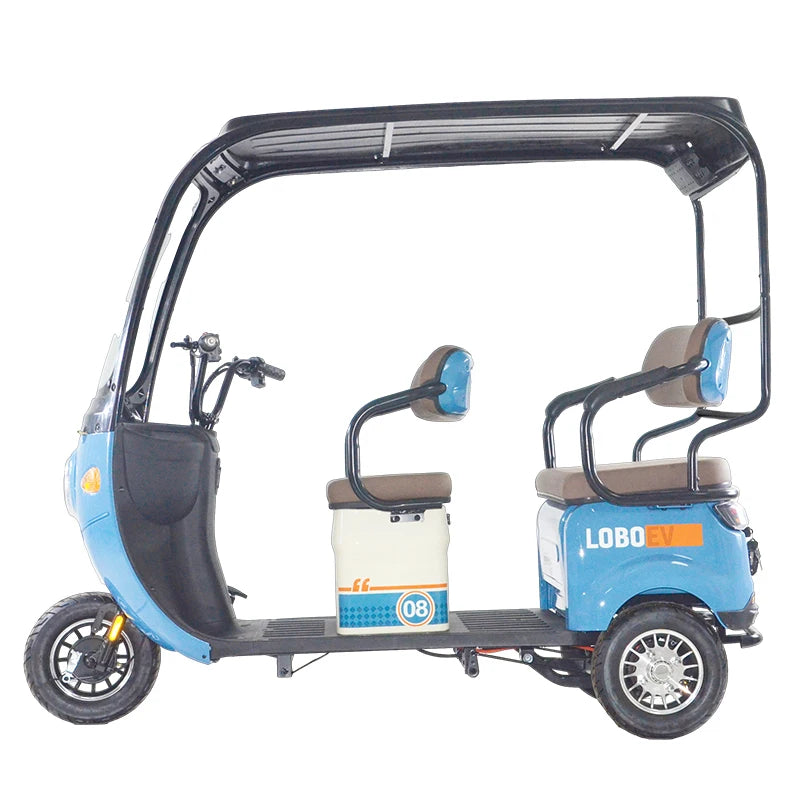 China Manufacturer Factory Price 800W Electric Tricycle for Adults, Passenger Electric Three Wheels Bike