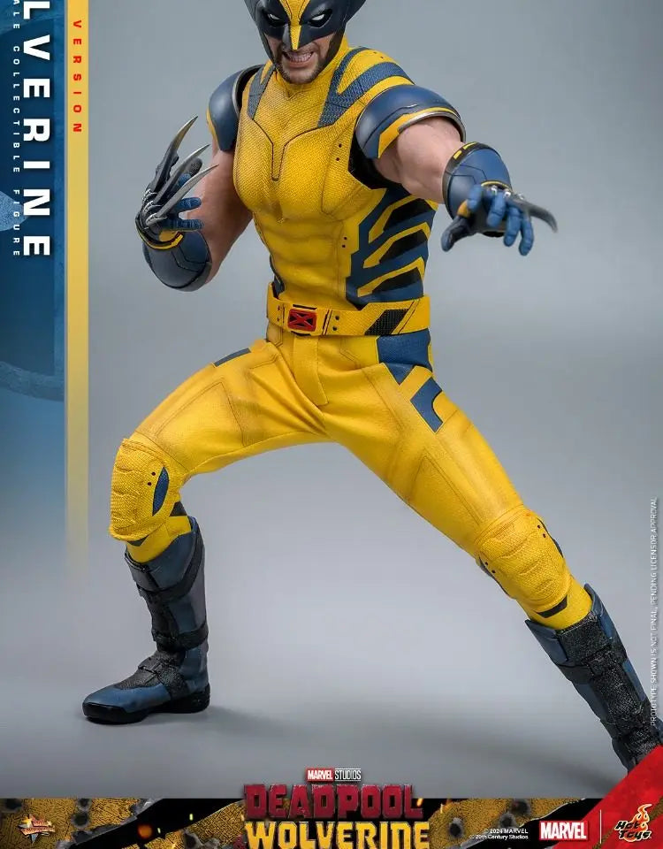 Hottoys Wolverine 1/6 Scale Action Figure MMS754 Deluxe Edition Deadpool And Wolverine Marvel Movie Collectible For Adult Fans