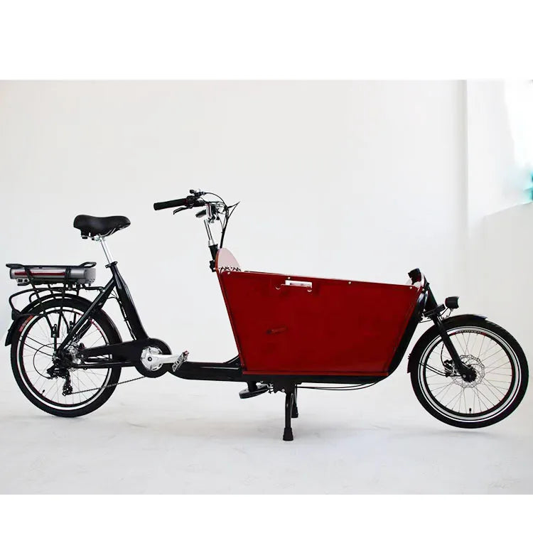 20'' Big Volume Two Wheels Pets Kids Carrier Goods Electric Bicycle Long Family Cargo Ebike Cargo Bike Electric