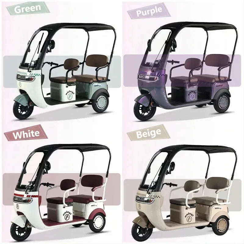 cargo electric tricycle  tricycles for adults 3 wheel motorcycle   800W