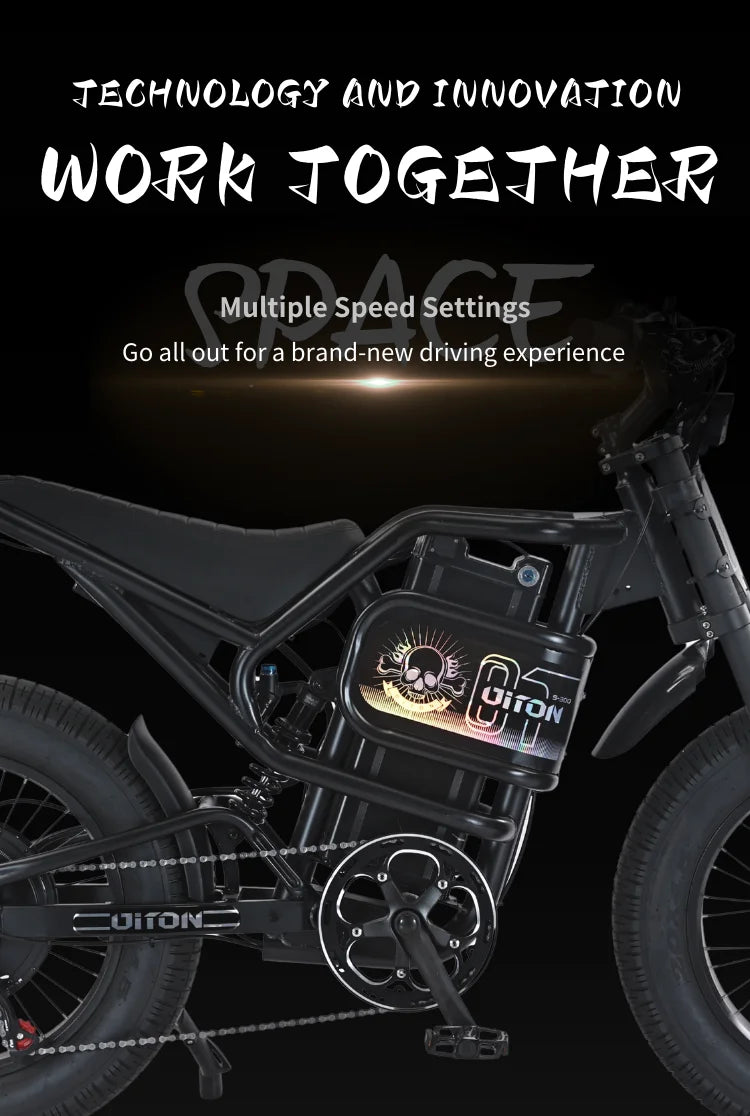 Diton S-300 60V 3000W Electric Bike | 25Ah Remote Battery | Powerful Motor, Off-Road Electric Bike for Outdoor Lovers