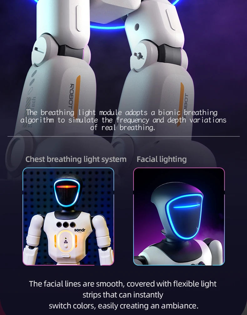 Smart Programming Humanoid Gesture Sensing Remote Control Robot 2.4G Joint Mobility Breathing Light Recording Function RC Robot