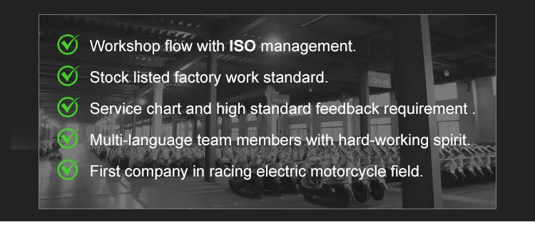 Electric Racing Motorcycles Max Loading 200kg Motor 15 Inch Vacuum Tire Fast Electric Motorcycle