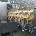Custom 1000-2500 CE Approved Chicken Duck Poultry Slaughtering Production Line Halal Slaughter House Machine
