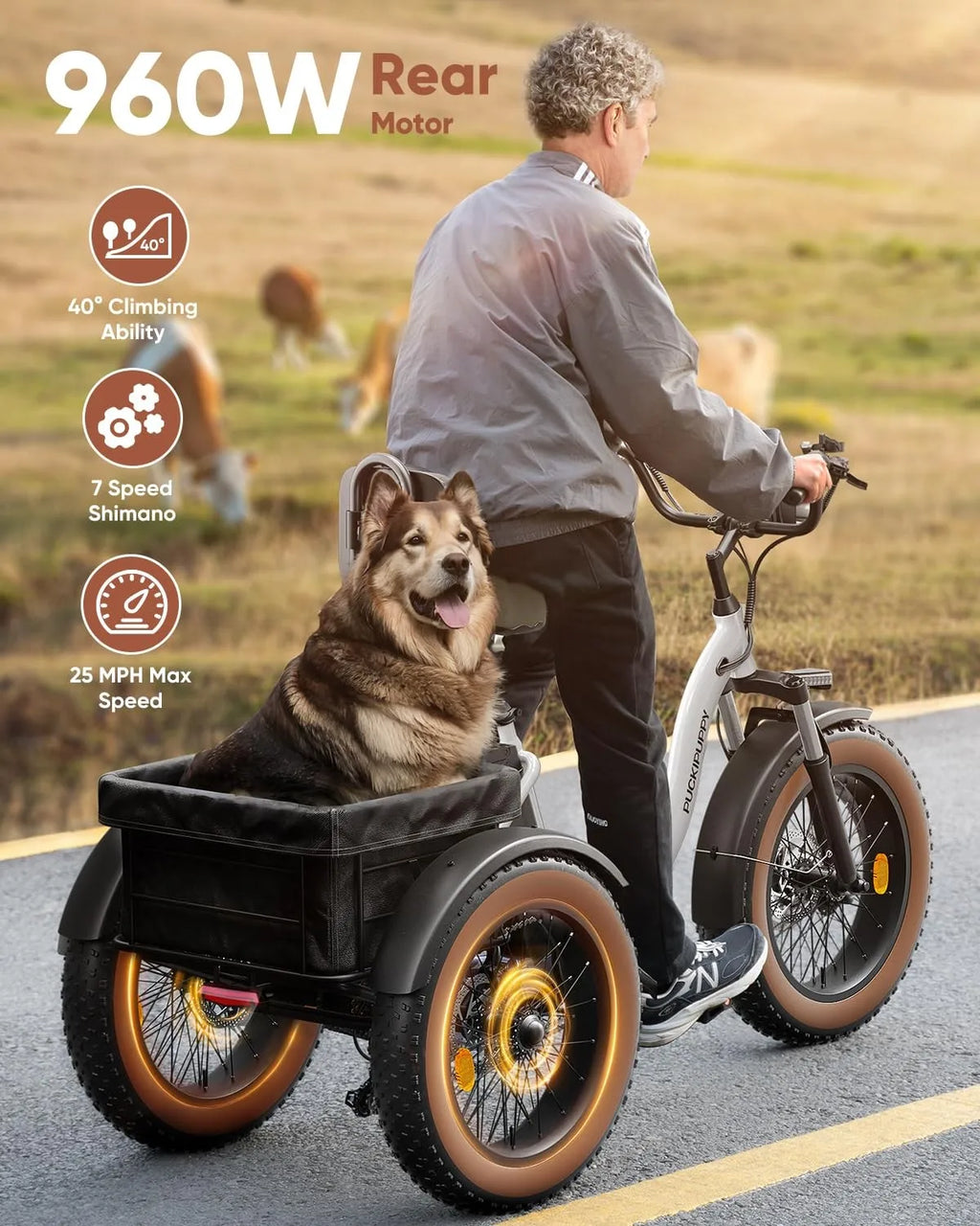 Electric Tricycle for Adults Fat Tire 3 Wheel Electric Trike 960W 55Miles E-Bike