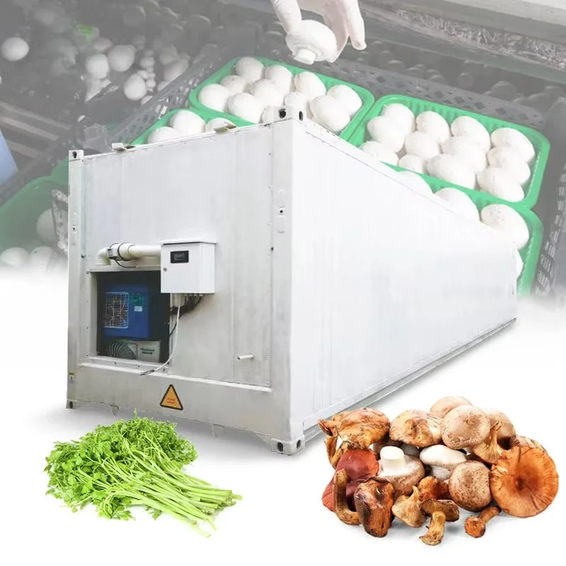Customized 20ft 40ft Container Farm, Hydroponic Growing System Agricultural Greenhouse for Mushroom Production