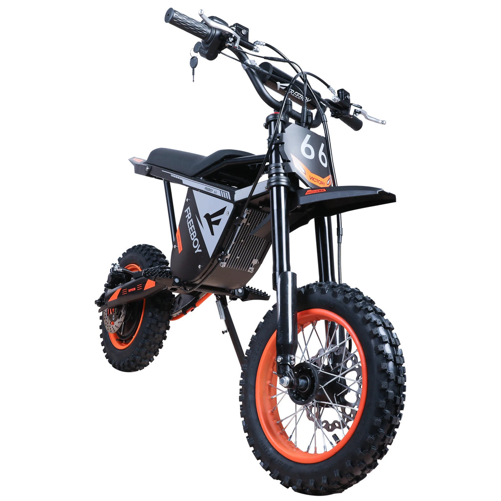 FREEBOY Y66 E-bike 3000W Motor 48V30AH Battery Electric Bike Max Speed: 55KM/H 12/10-In All-terrain Fat Tires Electric Bicycle