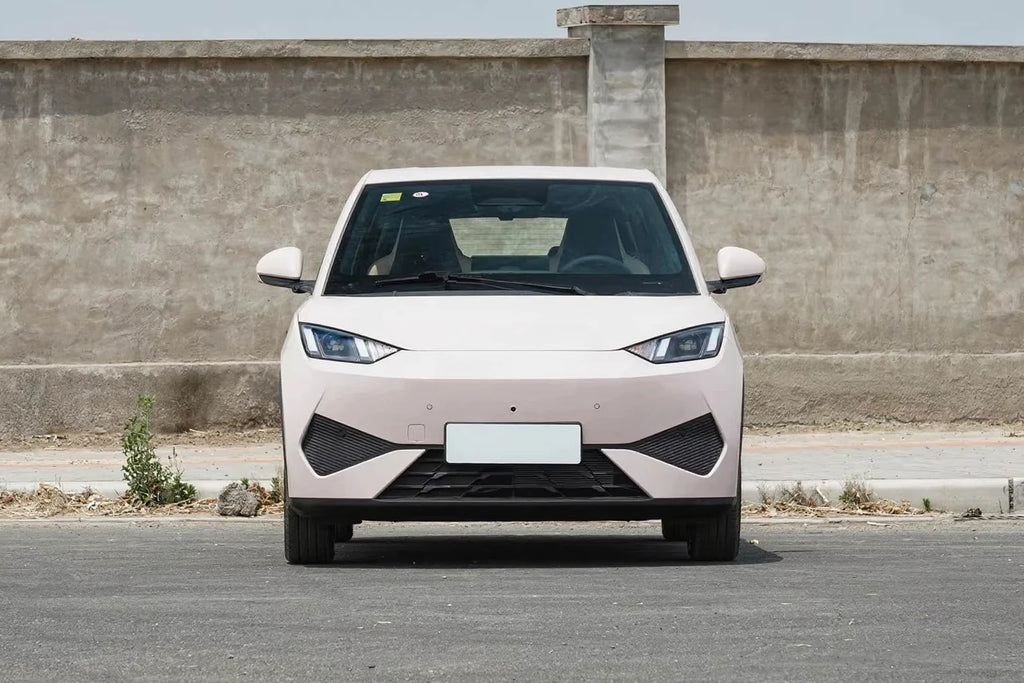 Electric vehicles, new energy vehicles, practical goods