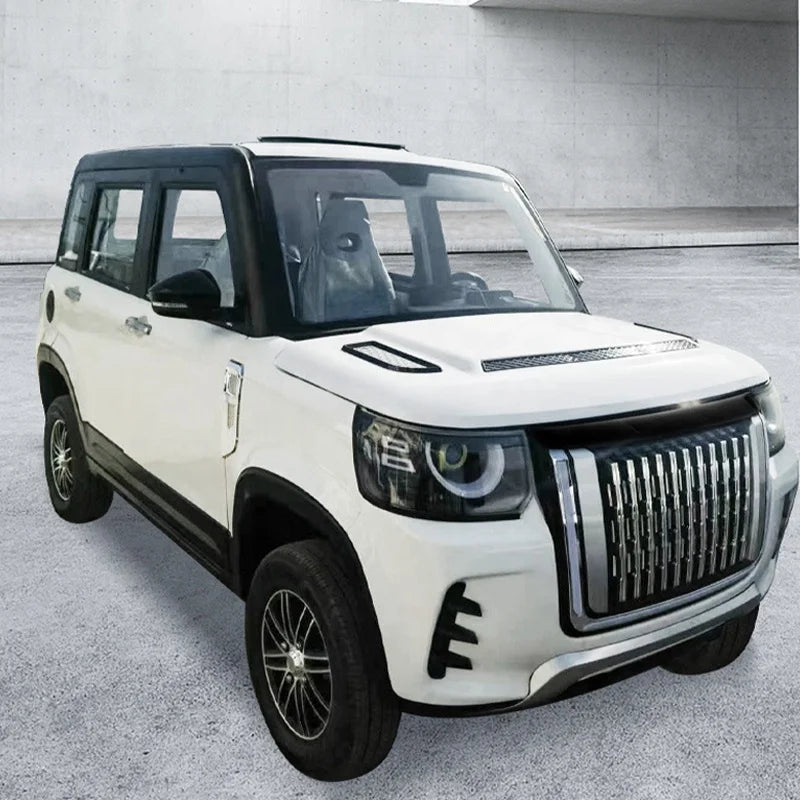 Elderly Electric Suv Electric China 2000W 3000W 5000W  Passenger Car New China  Suv