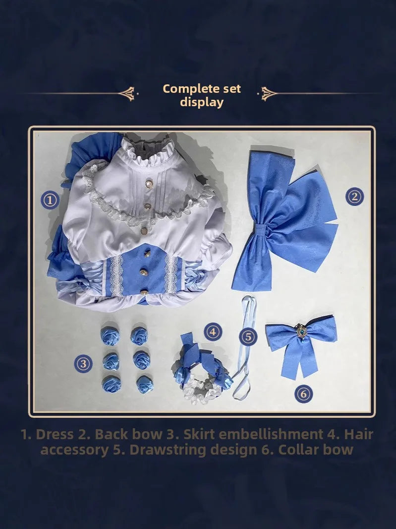 Rem Blue White Gothic Cosplay Costume for Women Zero Starting Point in Another World Life Game Anime Fashionable Cosplay Dress