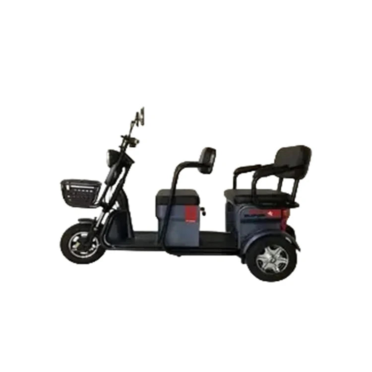 2024 Hot Sale 3 Wheel Electric Motorcycle Three Wheel Cargo Bike