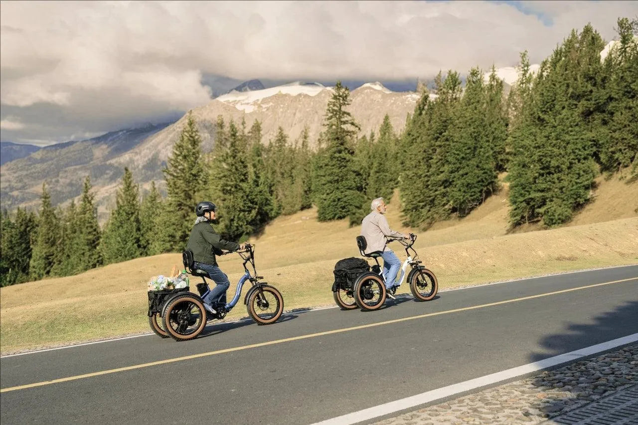 Electric Tricycle for Adults Fat Tire 3 Wheel Electric Trike 960W 55Miles E-Bike
