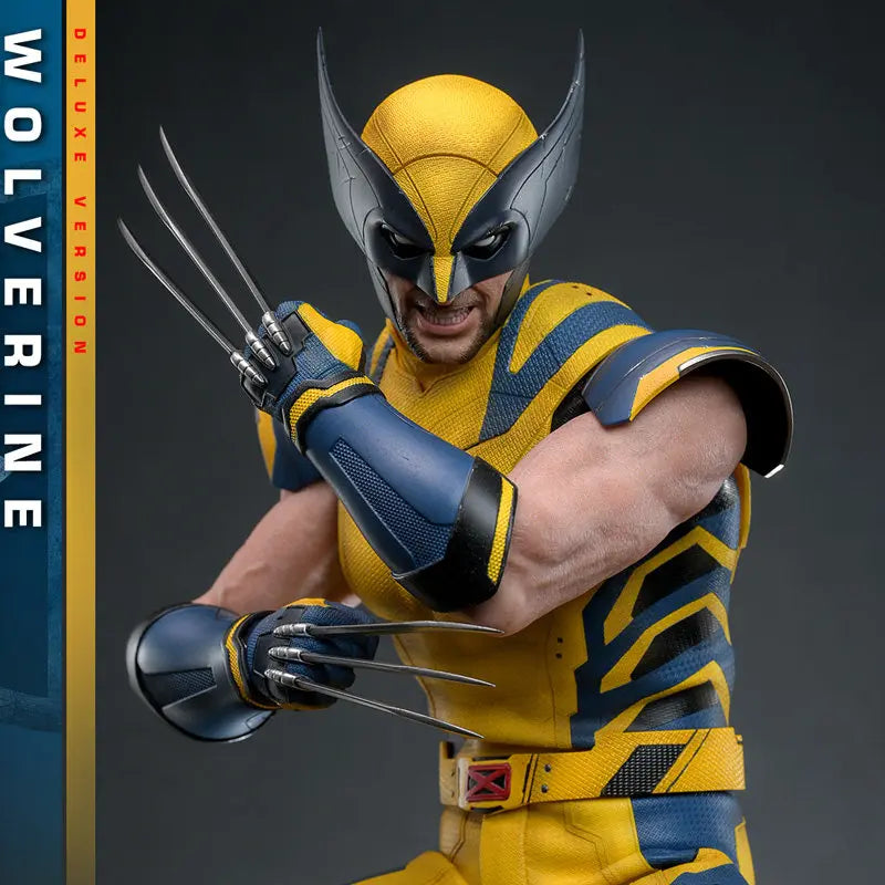 Hottoys Wolverine 1/6 Scale Action Figure MMS754 Deluxe Edition Deadpool And Wolverine Marvel Movie Collectible For Adult Fans