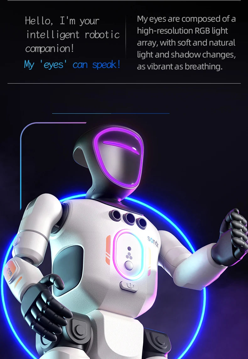 Smart Programming Humanoid Gesture Sensing Remote Control Robot 2.4G Joint Mobility Breathing Light Recording Function RC Robot