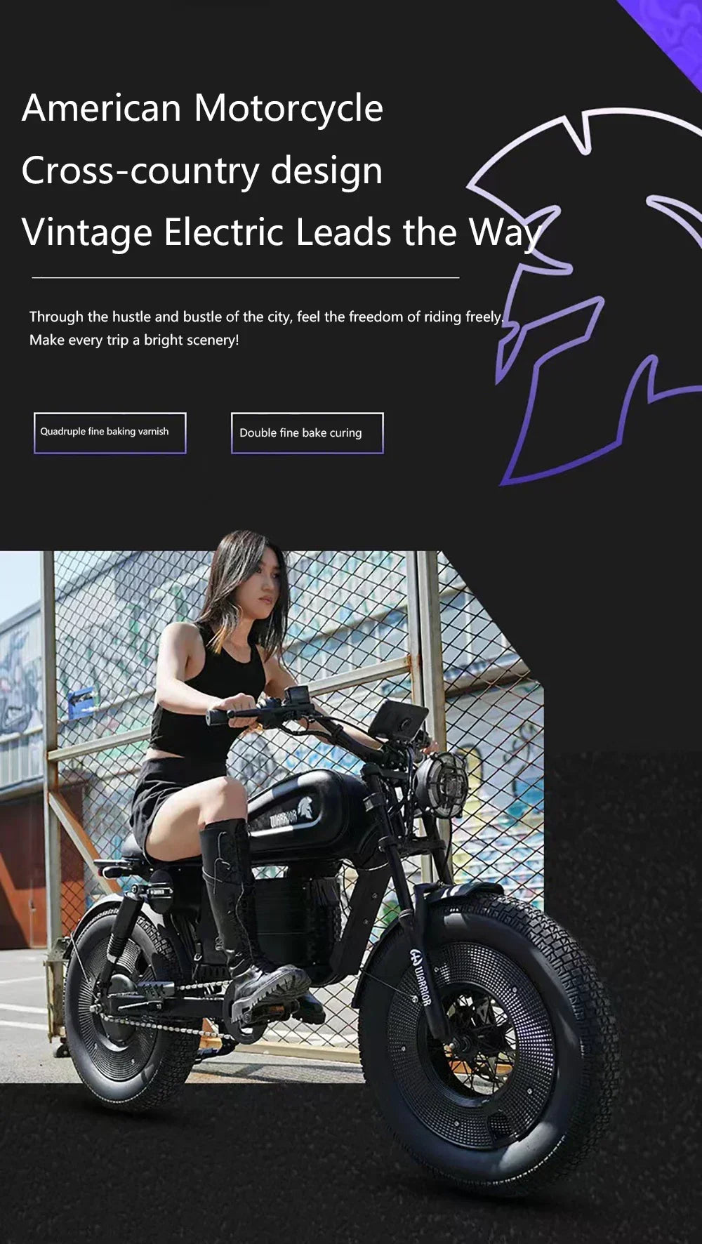 Electric bike himoto 3000W Motor 48V60AH lithium battery adult Off-road Electric Bicycle 20 inch fat tire Hydraulic brake E-bike