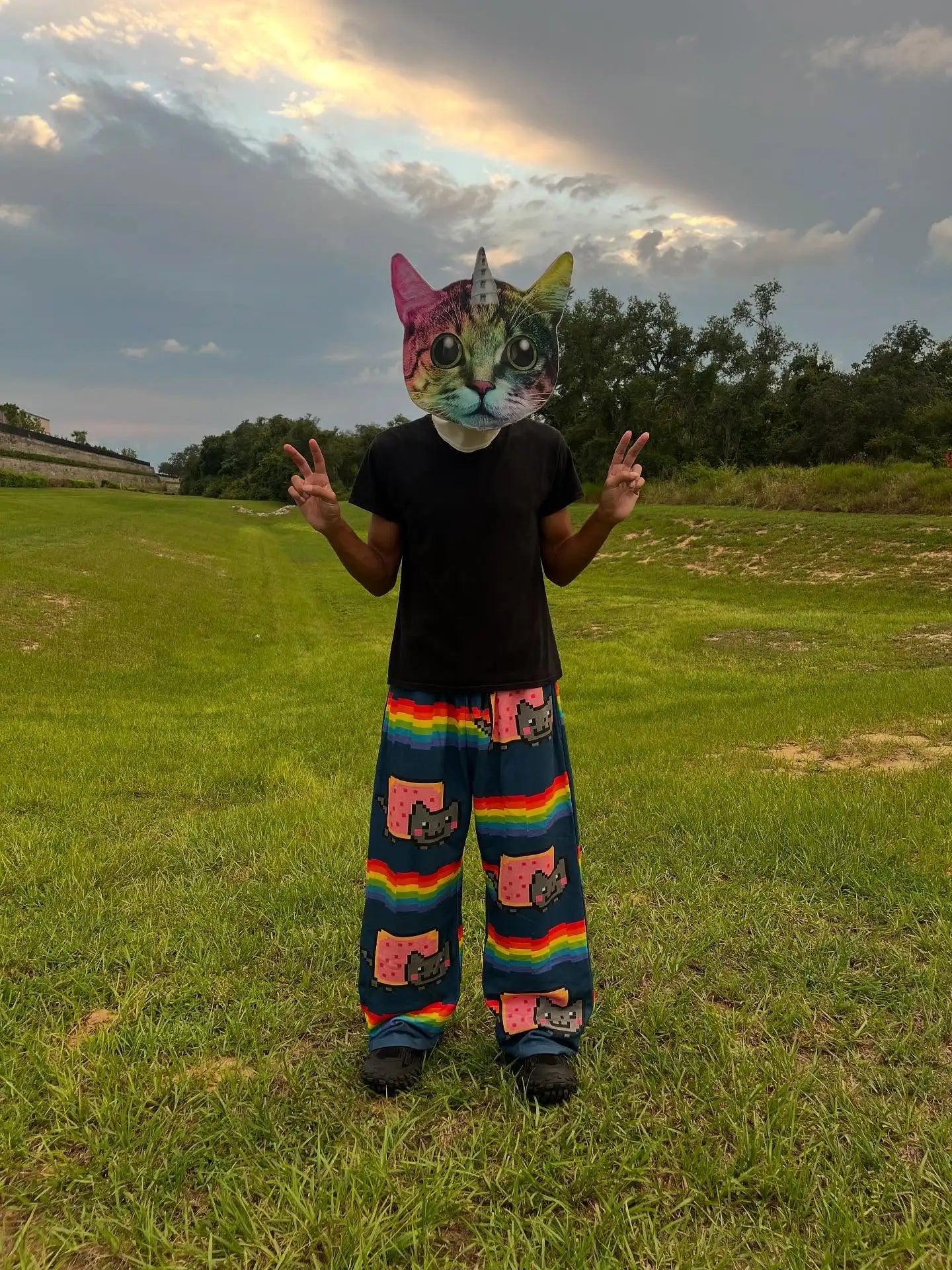 Rainbow Nyan Cat Pattern Y2K Loose and Versatile Wide Leg Pants American Street Dance Harajuku Style Elastic Men Jogging Pants