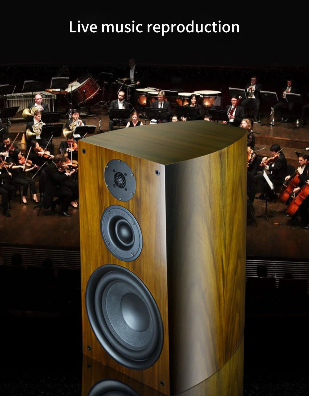YYAUDIO 10 Inch 8Ohm High Low Speaker Bass Tweeter Hifi Bookshelf Speaker Professional Sound Floor speaker Box