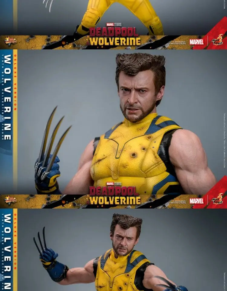 Hottoys Wolverine 1/6 Scale Action Figure MMS754 Deluxe Edition Deadpool And Wolverine Marvel Movie Collectible For Adult Fans