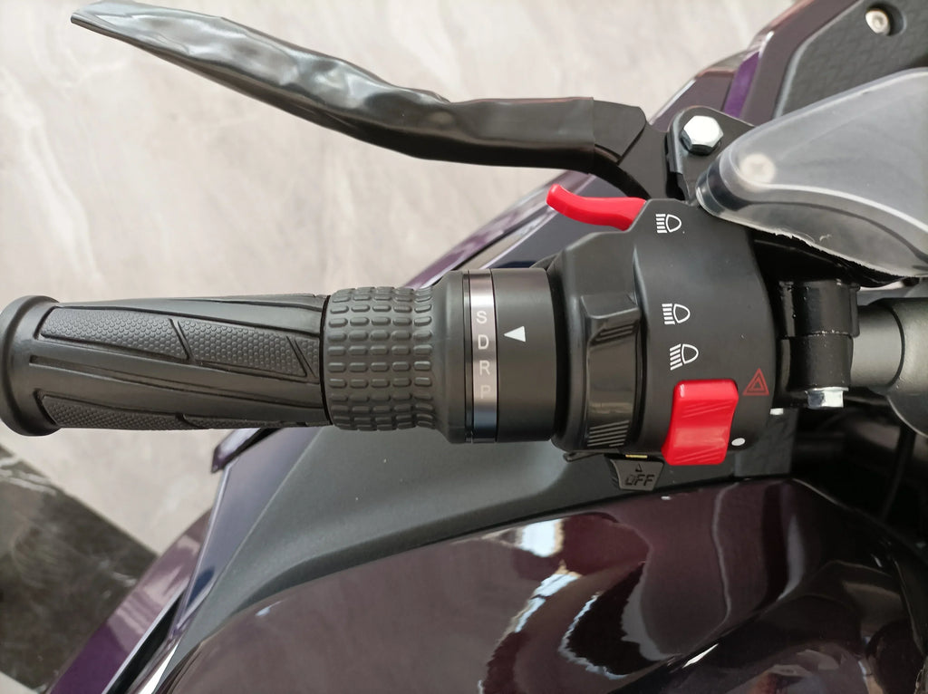 Luyuan Motorcycleelectric Motorcycle Adult Speed 150KM/H And Long Range 150km Electric Motorcycle Mid Drive 8000W