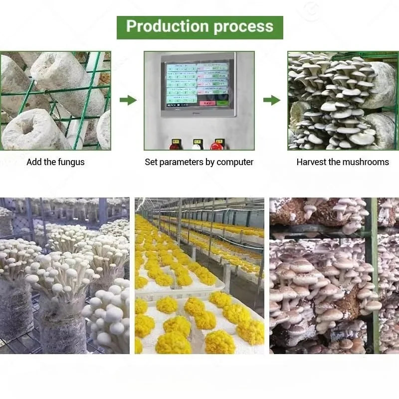Customized 20ft 40ft Container Farm, Hydroponic Growing System Agricultural Greenhouse for Mushroom Production
