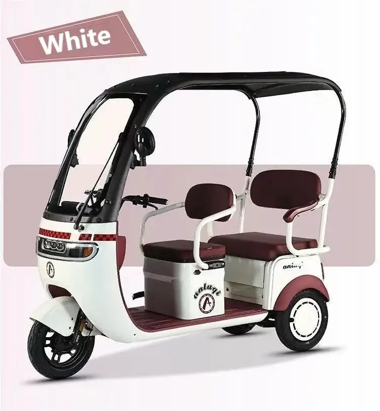 cargo electric tricycle  tricycles for adults 3 wheel motorcycle   800W