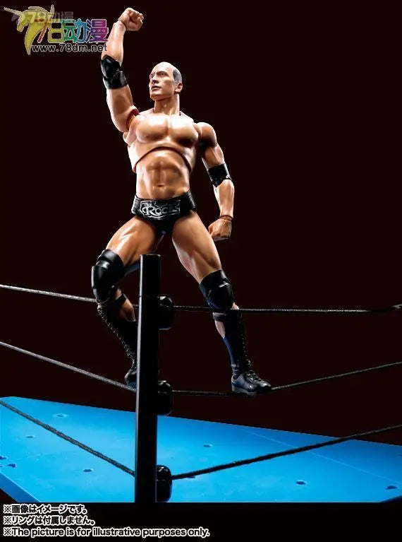 BANDAI Genuine S. H. Figuarts Series Reality Artist Series WWE Kane，Paul Levisk，Steve Austin，Dwayne Johnson Movable Model
