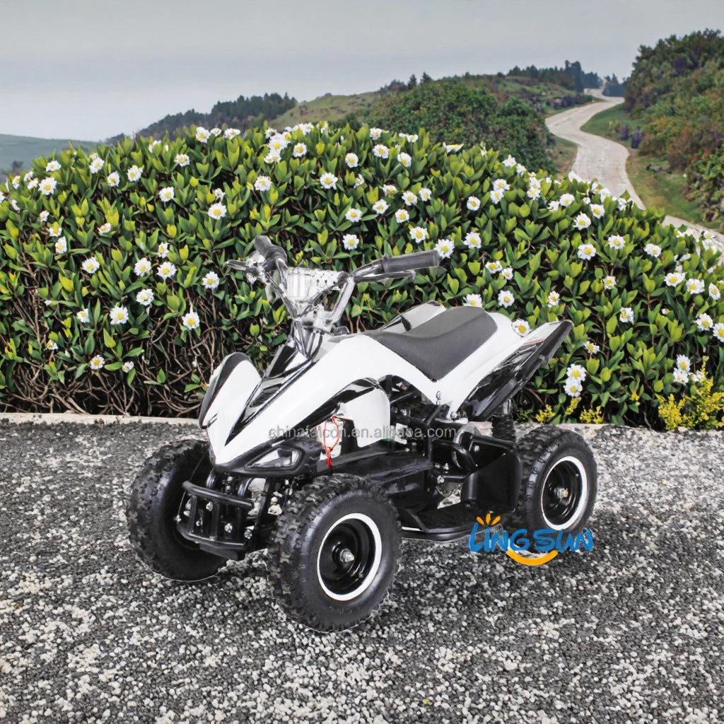 New Design Electric Kids ATV Mini SUV 500W-800W Chain Transmission Power Output Young Riders' Sports Utility Vehicle
