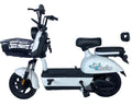 High-end High Quality 36V Mid Drive Electric City Bike 250W Power 48V Snow Model 15ah Cheap China Mid Motor Central Positi