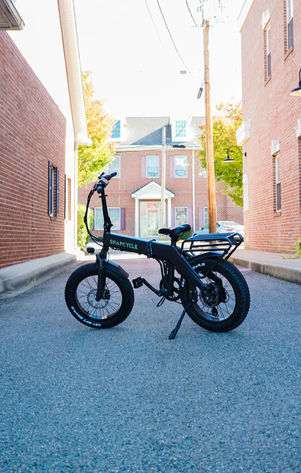 ELECTRIC Foldable BIKE 750W 48V 15AH Max 48KM/H E-BIKE 20" FatTire 7 Speed