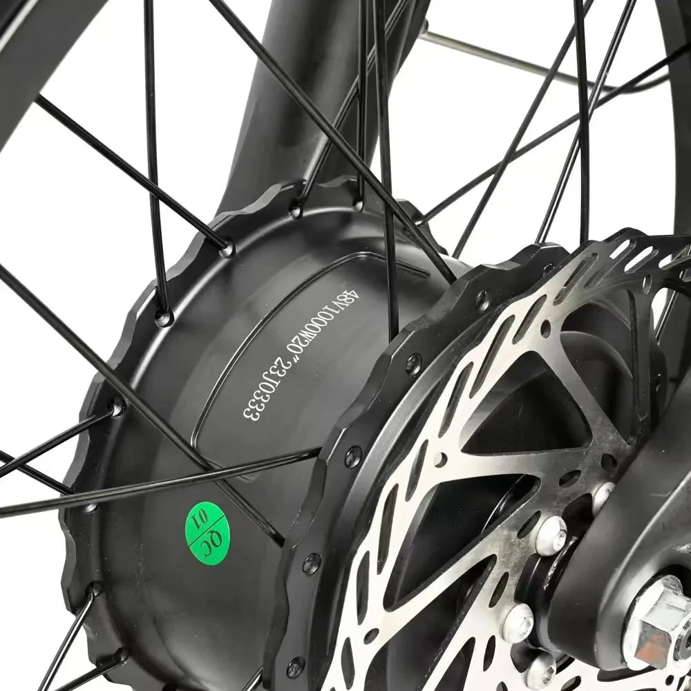 Baolujie DP2033 Electric Bicycle 2000W Dual Motor 48V30AH Lithium Battery E-bike 20*4 Inch Fat Tire Mountain Cargo Electric Bike