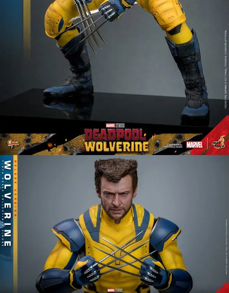Hottoys Wolverine 1/6 Scale Action Figure MMS754 Deluxe Edition Deadpool And Wolverine Marvel Movie Collectible For Adult Fans