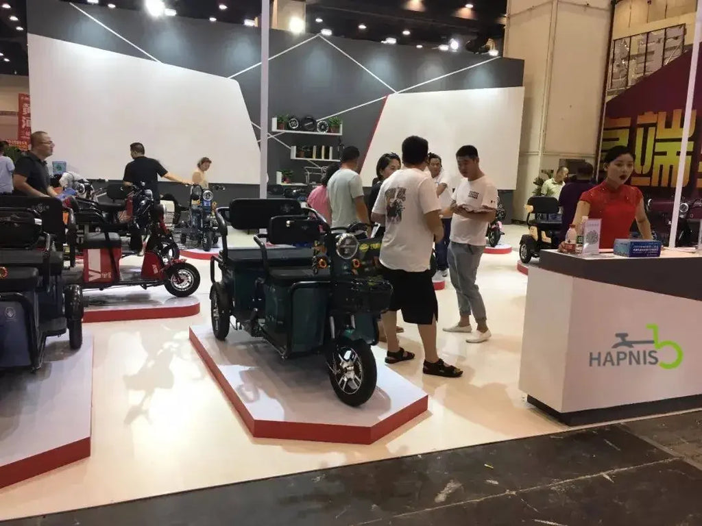 cargo electric tricycle  tricycles for adults 3 wheel motorcycle   800W