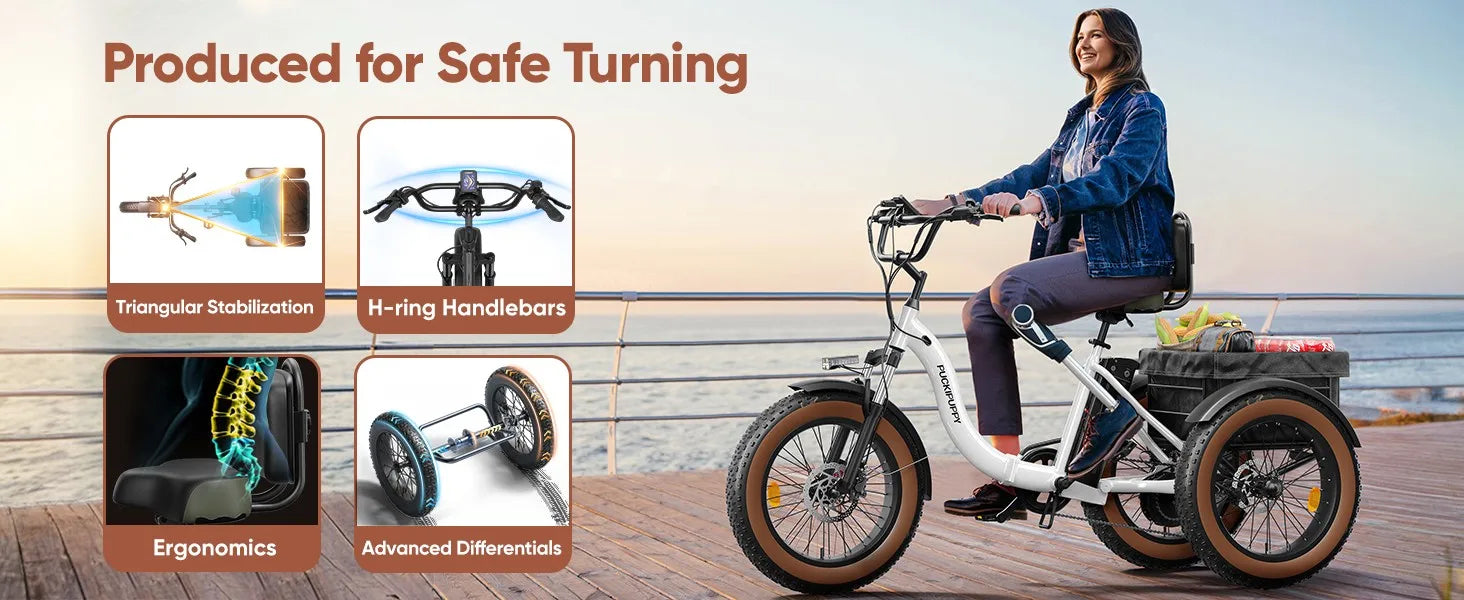 Electric Tricycle for Adults Fat Tire 3 Wheel Electric Trike 960W 55Miles E-Bike
