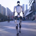 Standard Edition, Interactive Bionic Humanoid Biped Robot