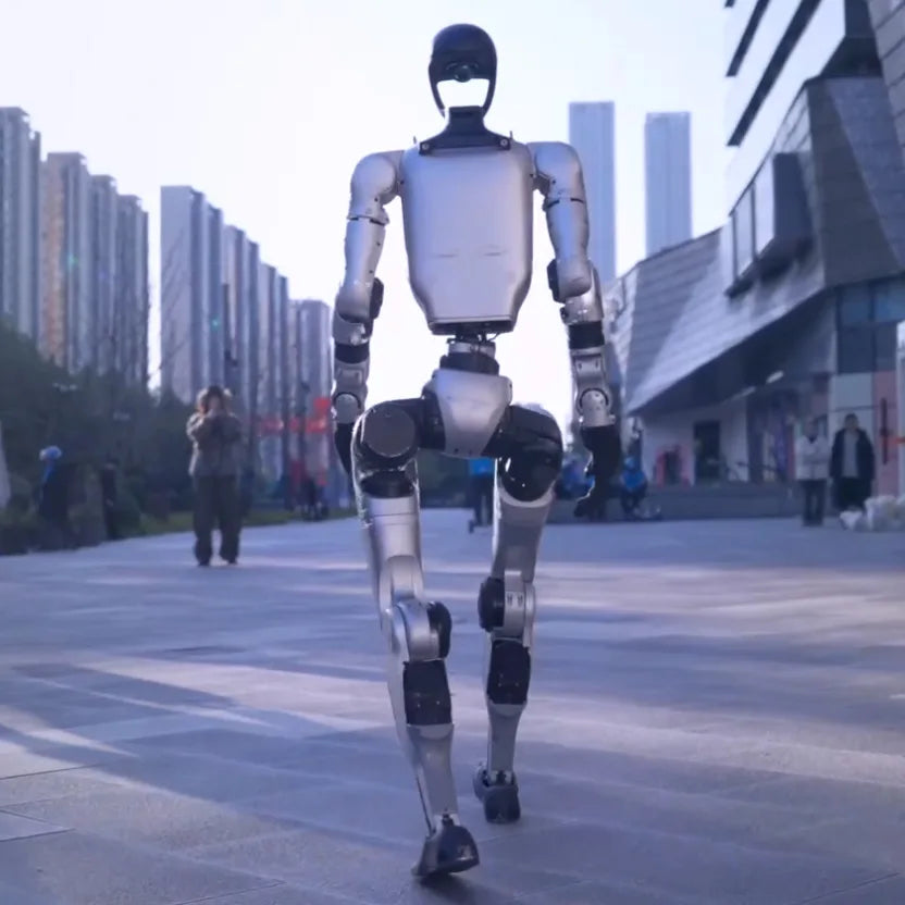 Standard Edition, Interactive Bionic Humanoid Biped Robot