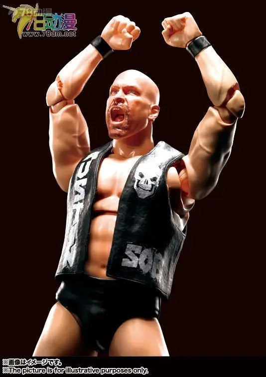 BANDAI Original S.H.Figuarts WWE The Rock (Dwayne Johnson) Movable Action Figure Collectible Model Toy Gift for Boys