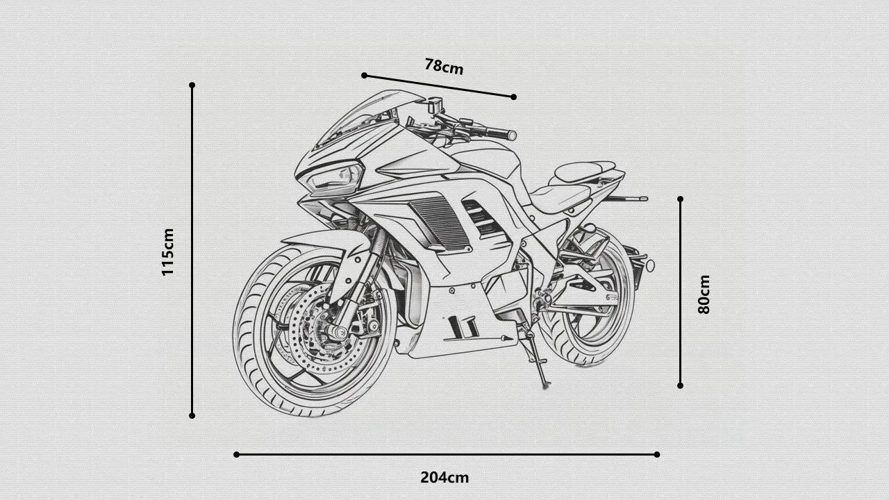 Strovan Motorcycle Factory New Desgin Racing Electric Motorcycle With 4000w Chain Motor Scooter