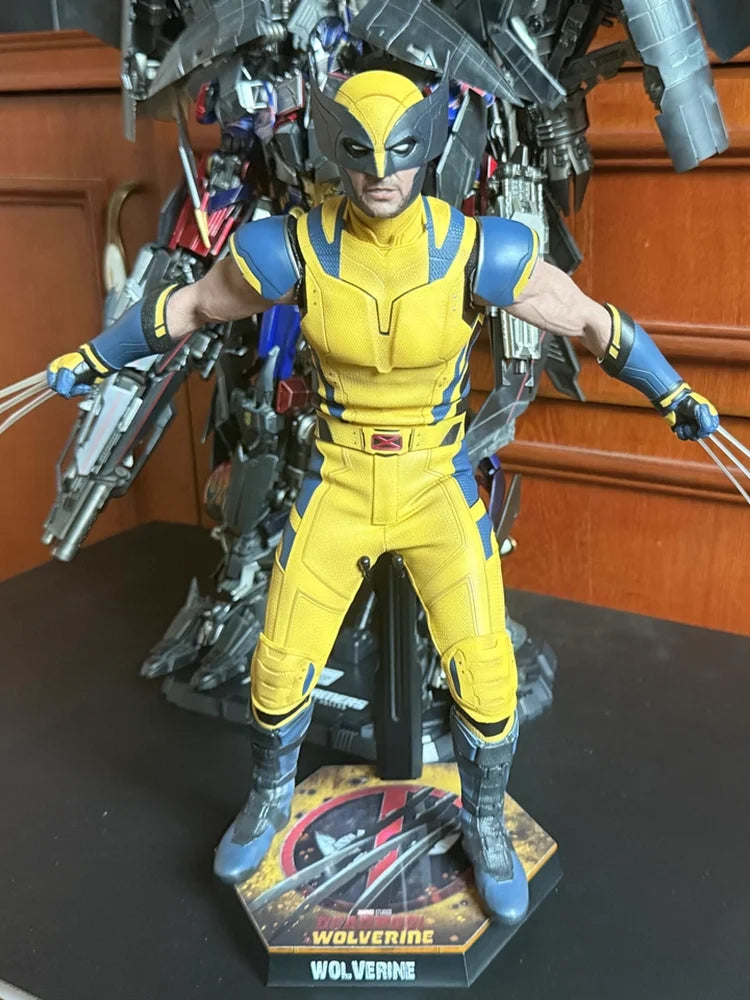 Hot Toys Mms754 Mms753 Wolverine 1/6 Scale Sci Fi Movie Collectible Articulated Action Figure 30cm Desktop Ornament In Stock