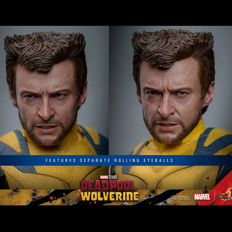 Hottoys Wolverine 1/6 Scale Action Figure MMS754 Deluxe Edition Deadpool And Wolverine Marvel Movie Collectible For Adult Fans