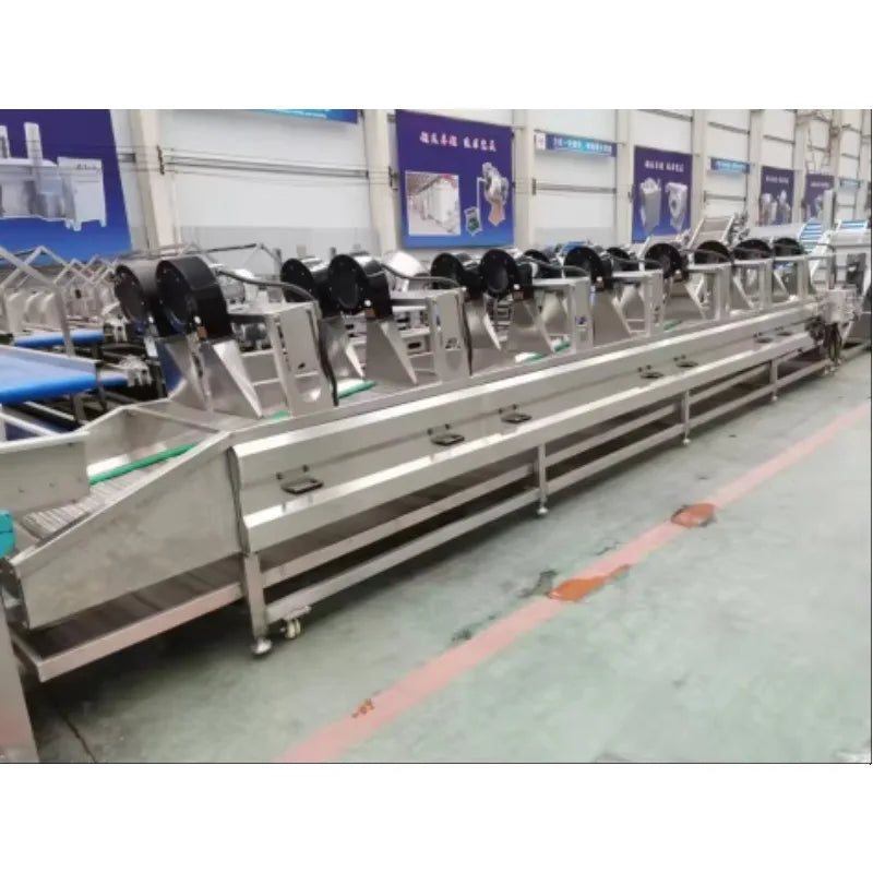 Ready-to-fry Frozen Potato Production Line 304 SS Electric 100kg/h Mesh Belt Deep Frozen French Fries