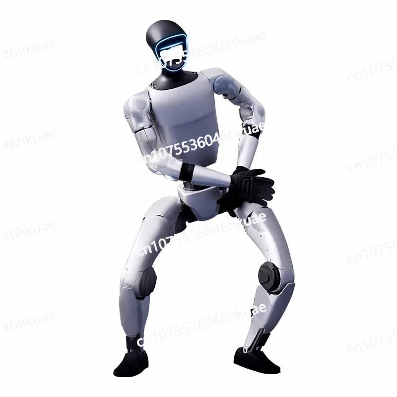 Basic Intelligent Humanoid Robot More Flexible Artificial Intelligence