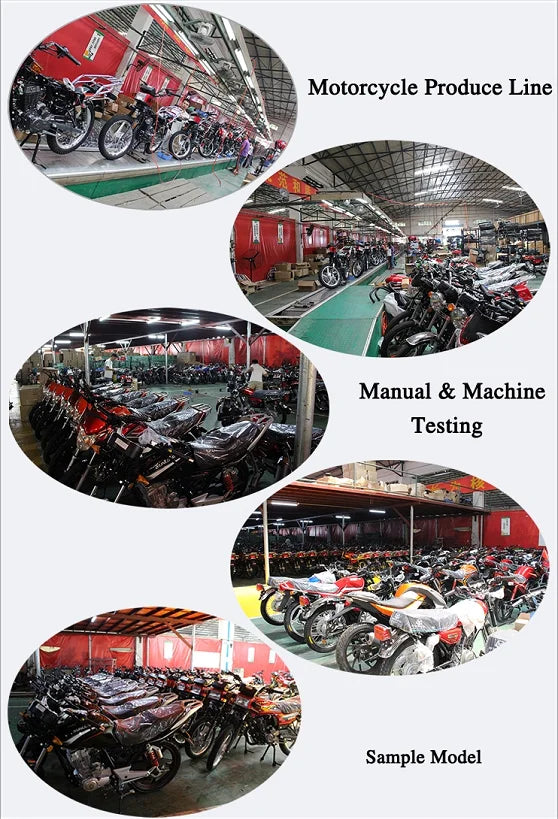 Motorcycles 150cc 4 Stroke Gas Powered Adult Mini Bike Electric Motorcycle Other Motorcycles for Sale
