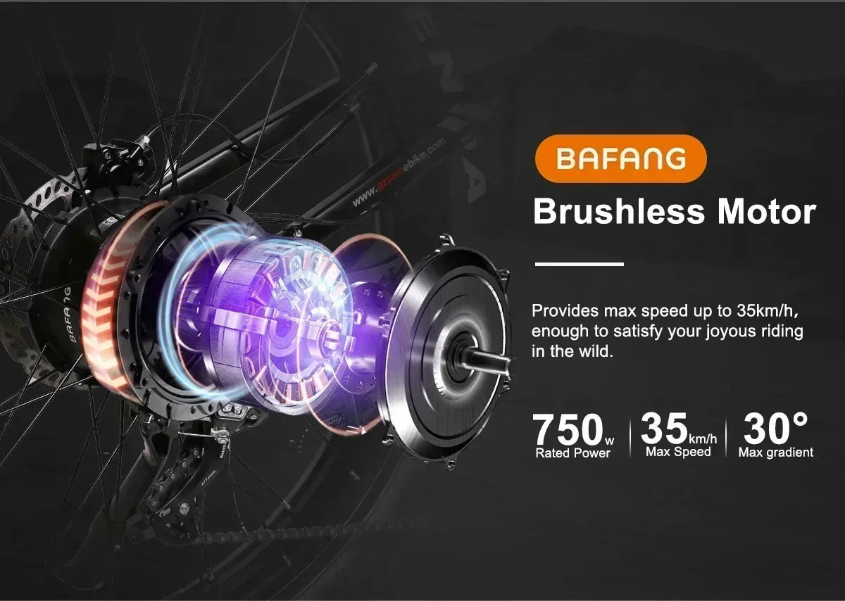 SAMEBIKE RS-A08 Electric Bike 1000W Motor 48V 17Ah Battery Hydraulic brake 26*4.0Inch Fat Tires Electric Bicycle Mountain E-bike